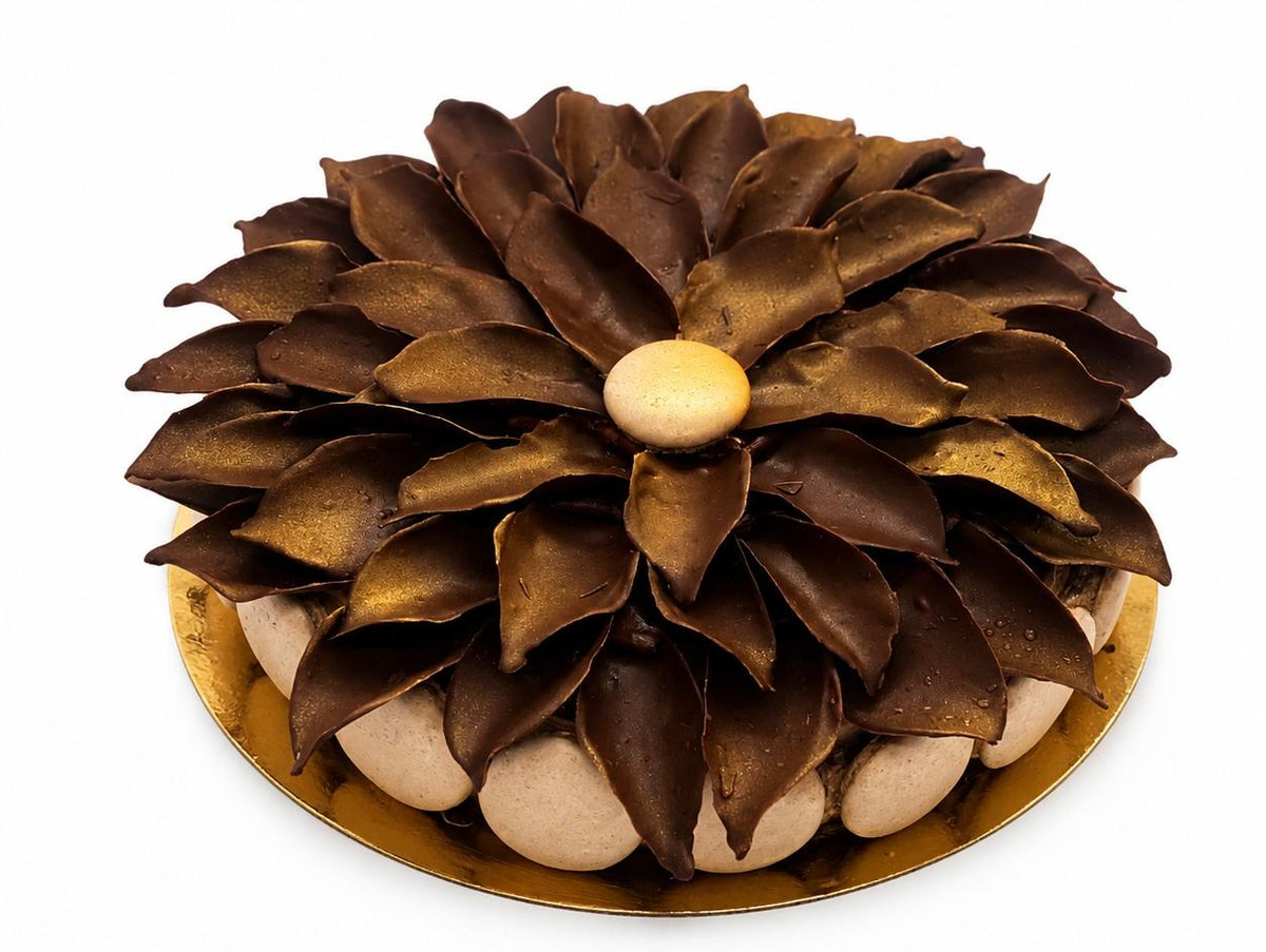 Choco-Noisettes pralinées
